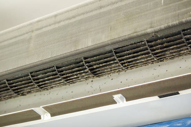 Best Best Air Duct Cleaning Company  in Oill, NE